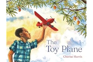 The Toy Plane