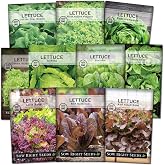 Sow Right Seeds - Large Lettuce Seed Collection for Planting Vegetables | Includes romaine, iceberg, looseleaf, and more. Plant cold hardy non-GMO heirloom greens outdoor or indoor hydroponic garden.