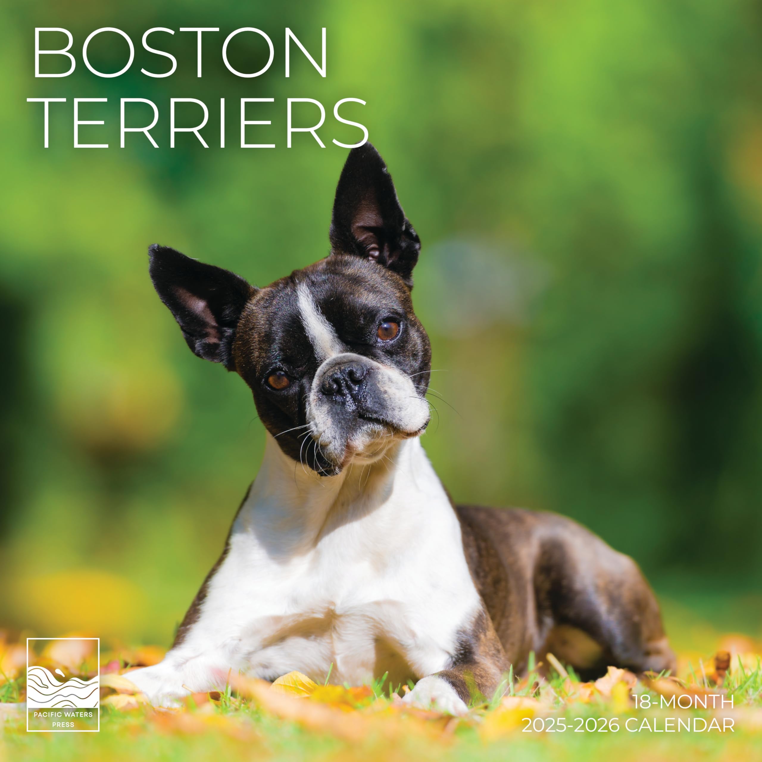 July 2025- December 2026 Wall Calendar 18 Month