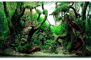 OHIOCATII Freshwater Aquarium Background Jungle Style Aquascape Microsorum Trident Various Rotalas Anubias Fish Tank Background Aquatic Plants Frodo Stones and Redmoor Roots Terrarium Background 30x12in