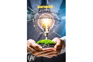 Electricité : De la Théorie à l'application (French Edition)