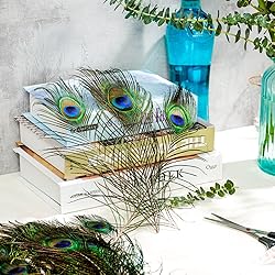 Piokio 10 pcs Natural Peacock Feathers in Bulk