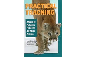 Practical Tracking