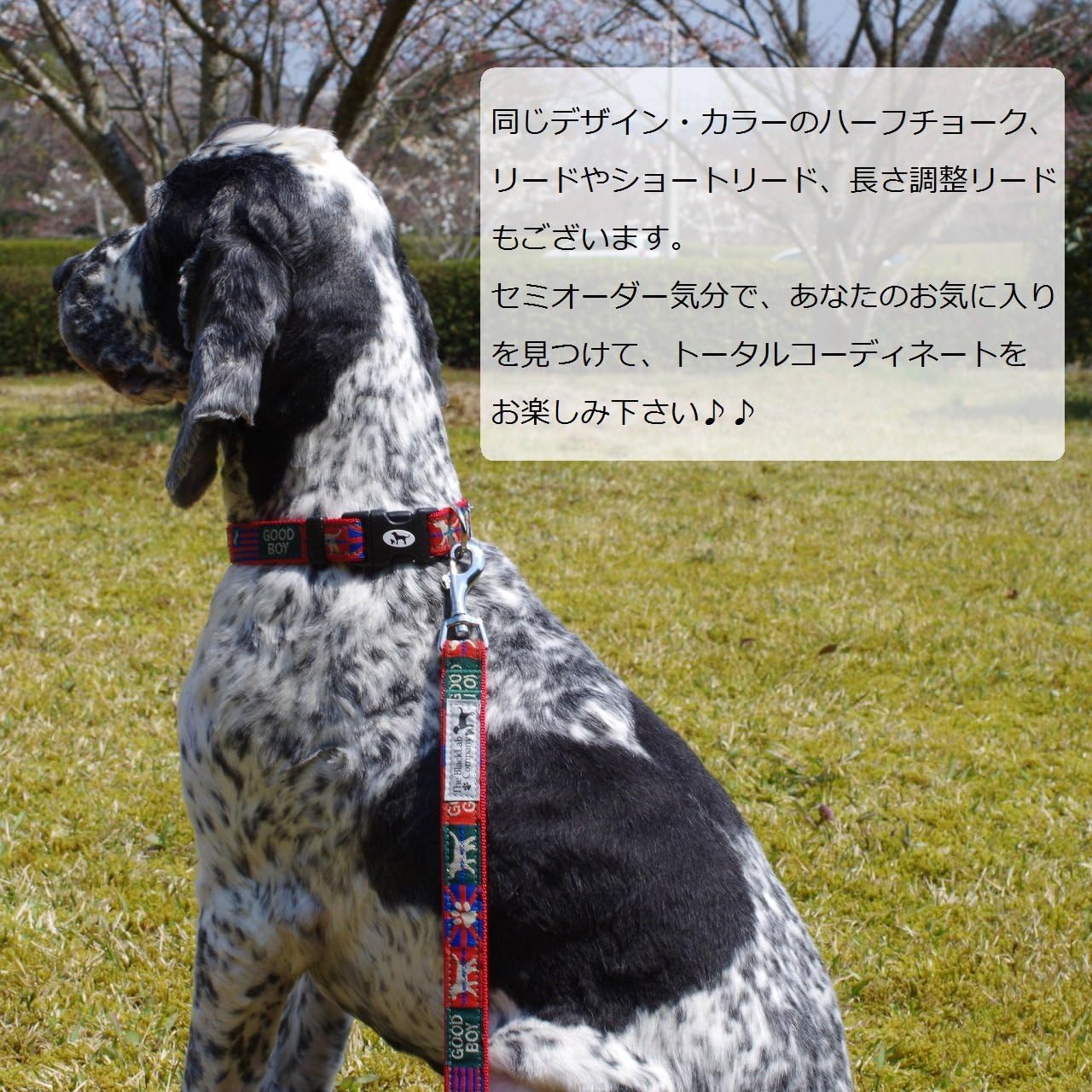 Amazon ザ ブラックラブカンパニー 首輪 Lサイズ フラッグ ブルー 大型犬用 ハーフチョークにもなる首輪 選べるベースカラー 犬グッズ専門店 オリジナル 国産 ザ ブラックラブカンパニー ベーシック首輪 通販