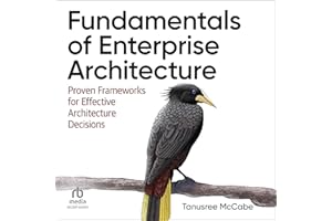 Fundamentals of Enterprise Architecture: Proven Frameworks for Effective Architecture Decisions