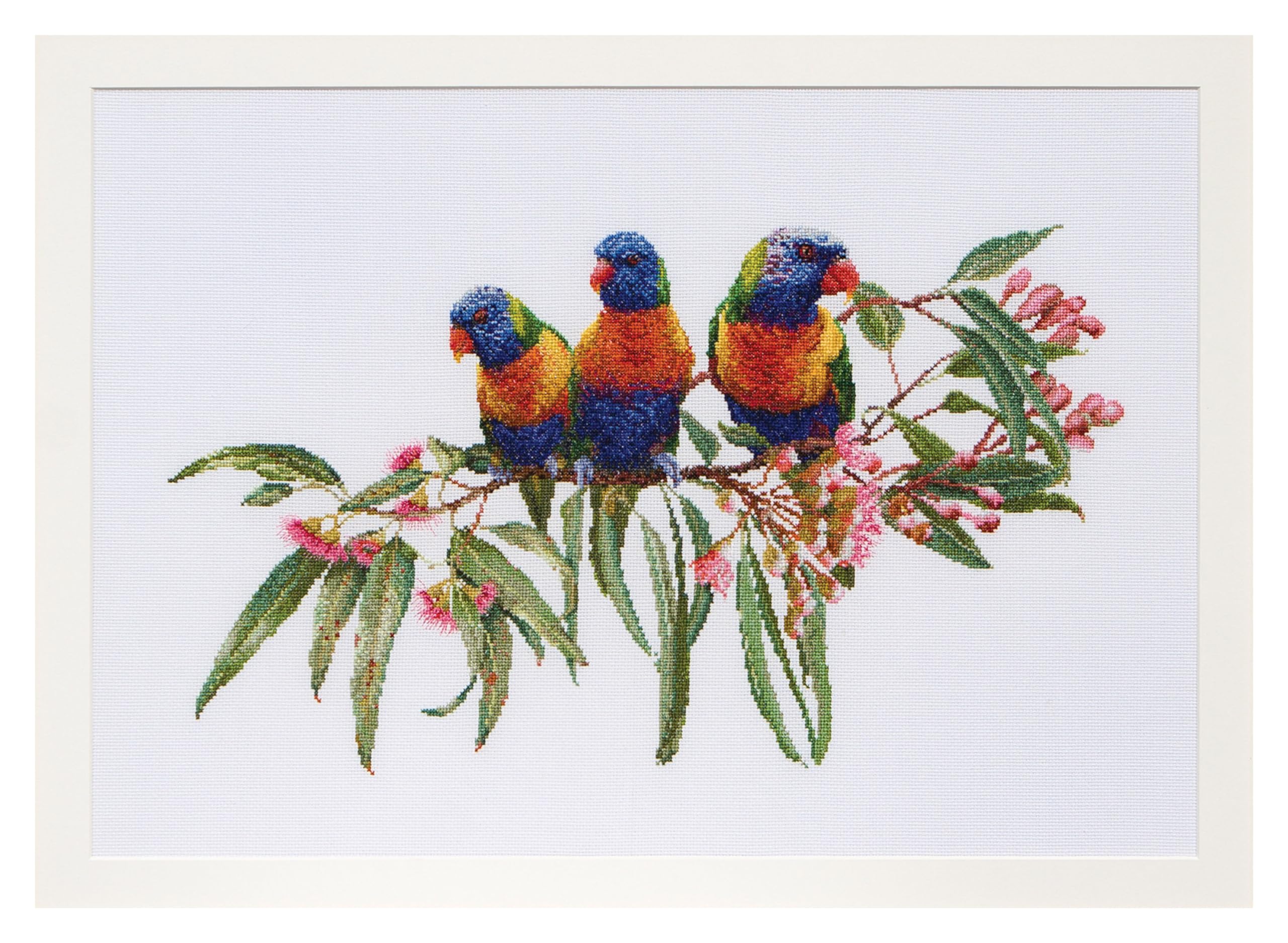 Thea Gouverneur - Counted Cross Stitch Kit - Lorrikeets - Aida - 16 Count - Embroidery Kit for Adults - DMC Embroidery Threads and Other Cross Stitch Supplies Included - 553A