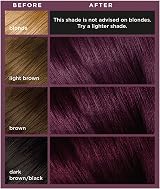 L'Oréal Paris Colorista Dark Purple Permanent Gel Hair Dye 3x Shine view 2