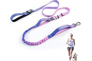 JETOG Heavy Duty Hands Free Dog Leash, 5-7 FT Reflective Adjustable Waist Dog Leash Belt with Padded Handles, Shock Absorbing Bungee and Car Seat Belt for Large Medium Dogs (Purple Blue, XL)