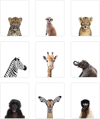safari animal wall decor