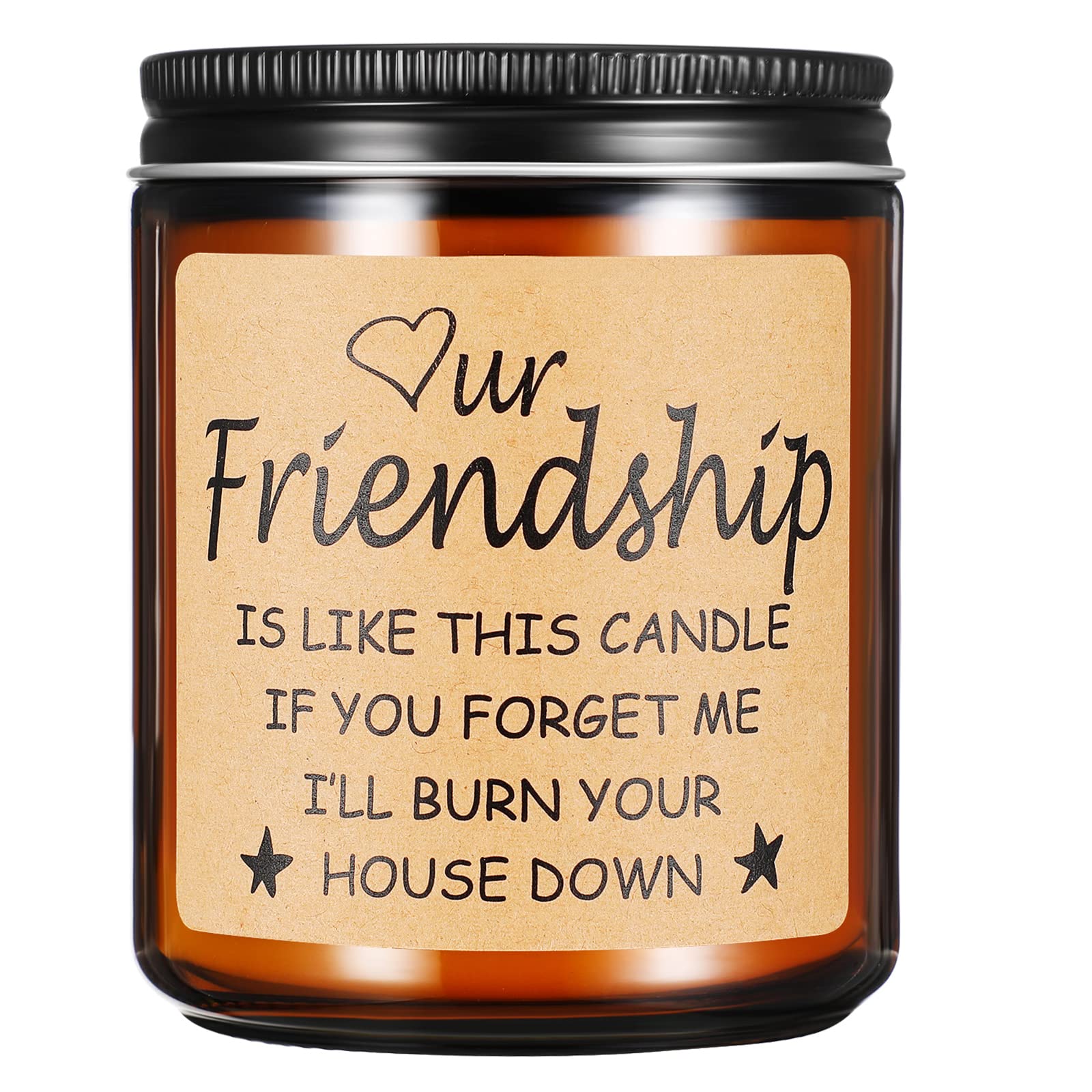Funny Gifts for Friends,Gift for Bestie Women Men,Funny Birthday Gifts for Friend,Friendship Presents for Women Candle Gift (Friendship)