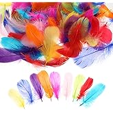 Feathers 100pcs Feathers for Crafts Colorful Feather Light and Supple Craft Feathers Feathers for DIY Crafting Dream Catcher 