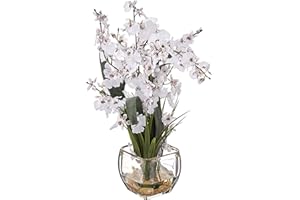 Nearly Natural 1119-WH Dancing Lady Orchid Liquid Illusion Silk Flower Arrangement, White