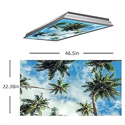 DIQISHIZHU Fluorescent Light Covers for Classroom