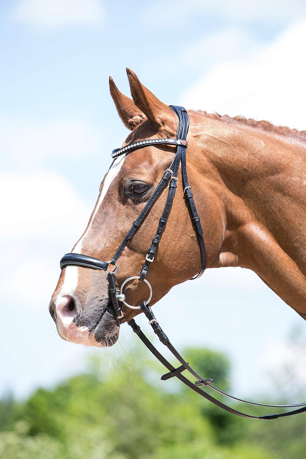 Bride Antarès taille poney muserolle renforcée + 1 paire de rênes