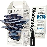 Organic Blue Oyster Mushroom Grow Kit | Grow Your Own Fresh Gourmet Mushrooms at Home | Edible Indoor Mushroom Growing Kits G