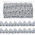 Gnognauq 9.8 Yard Shiny Beaded Lace Trim Sequins Ribbon Vintage Decorative Wedding DIY Craft Sewing Fabric (Silver)