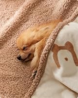 Feandrea Waterproof Dog Blanket Sherpa Fleece 101x73 cm Beige M view 4