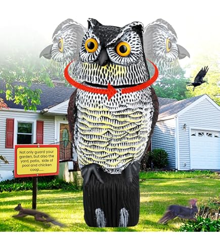 Amazon.com : Esschert Design FY18 Raven Crow Scare Decoy : Patio