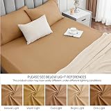 My Home Store Fitted Sheet 100% Egyptian Cotton 300TC Beige Double view 7