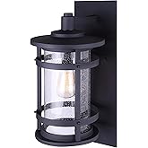 Canarm Duffy 1-Light Outdoor Wall Lantern, Black with Seeded Glass, Durable Wet-Rated Outdoor Downlight for Porch and Patio