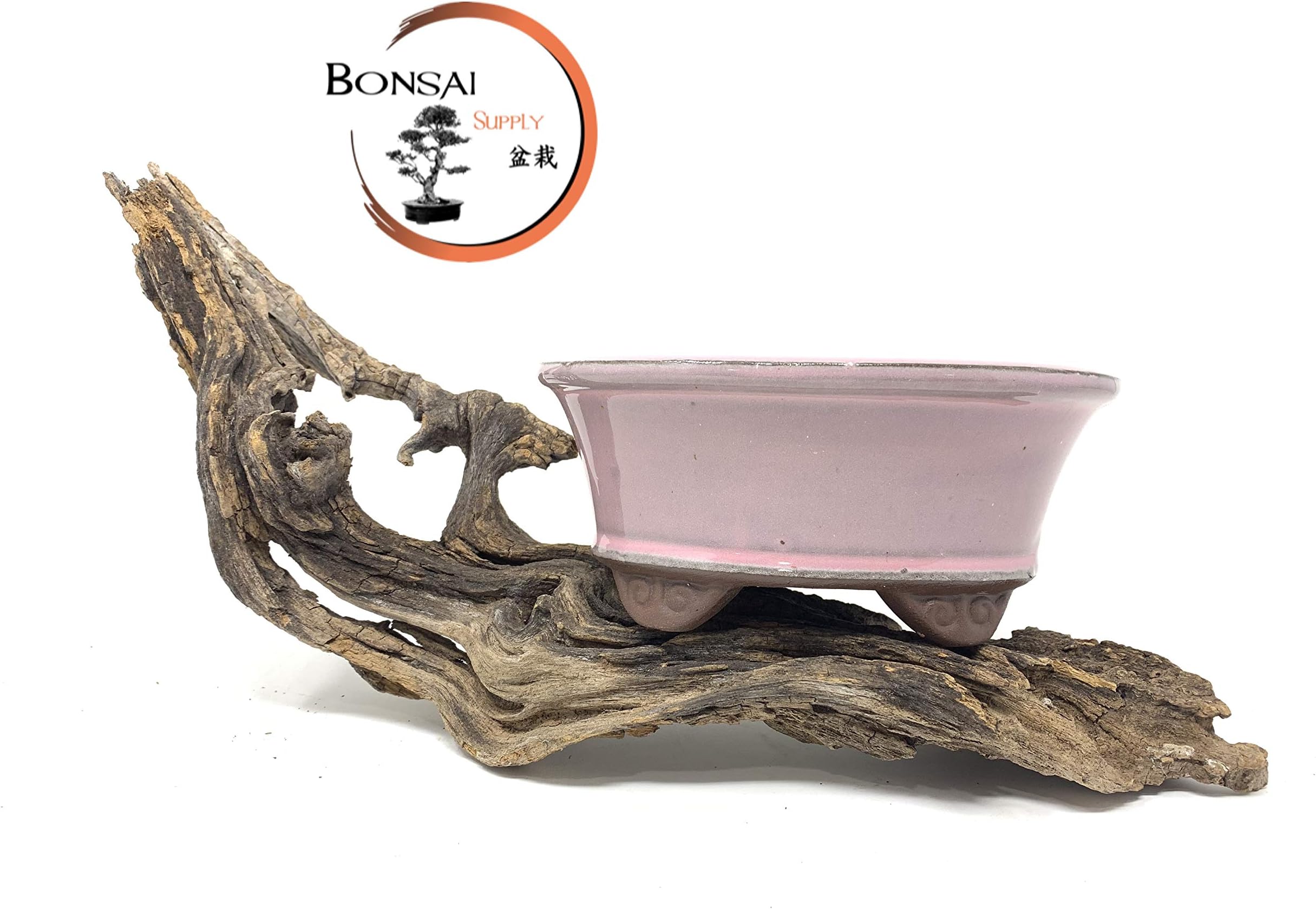 6" Glazed and Unglazed Bonsai Tree Pots by The Bonsai Supply (Pink Lemonade)