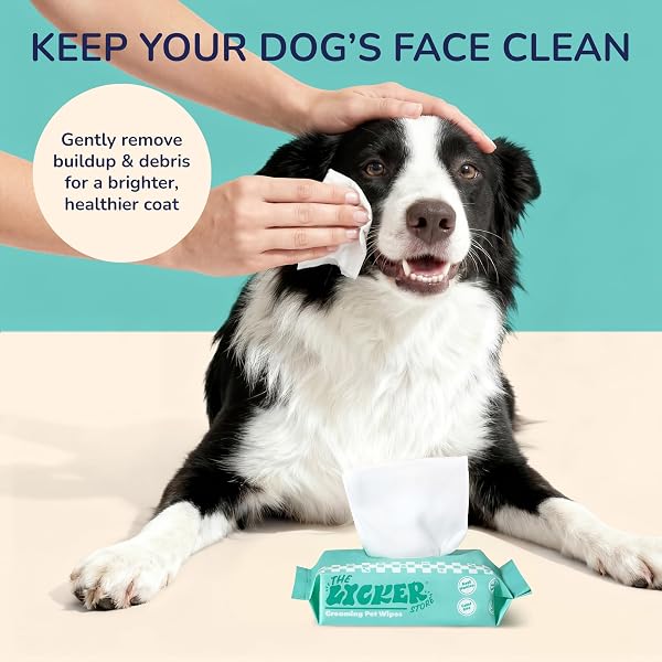 THE LICKER STORE PWP1008A-6SET MINI DOG BODY WIPES, HYPOALLERGENIC PET GROOMING WIPES WITH ALOE VERA, CHAMOMILE & SHEA BUTTER, FOR PAWS, FACE & BODY, CLEANING & HYDRATING, 288 COUNT (6 BAGS)