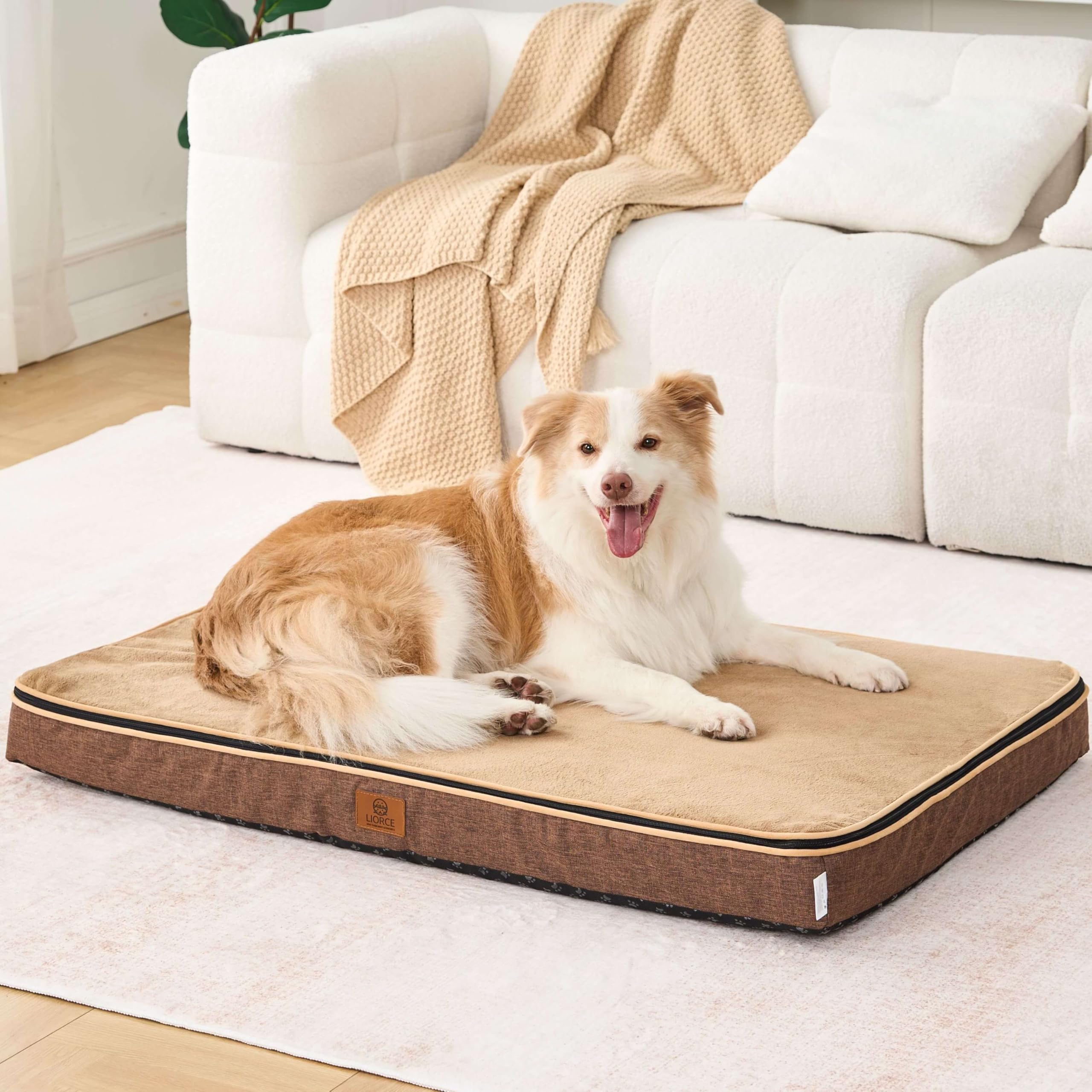 Photo 1 of LIORCE Memory Foam XL Dog Bed - 4” Thick Orthopedic Beds for Extra Large Dogs - Waterproof Dog Bed with Removable Washable Cover & Wrap-Around Zipper - Ultimate Comfort and Easy Maintenance