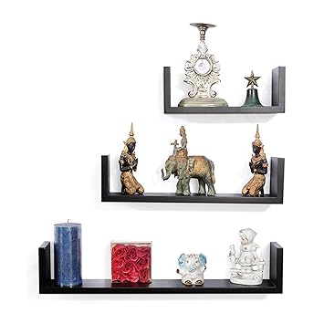 Forzza Ronald Wall Shelf