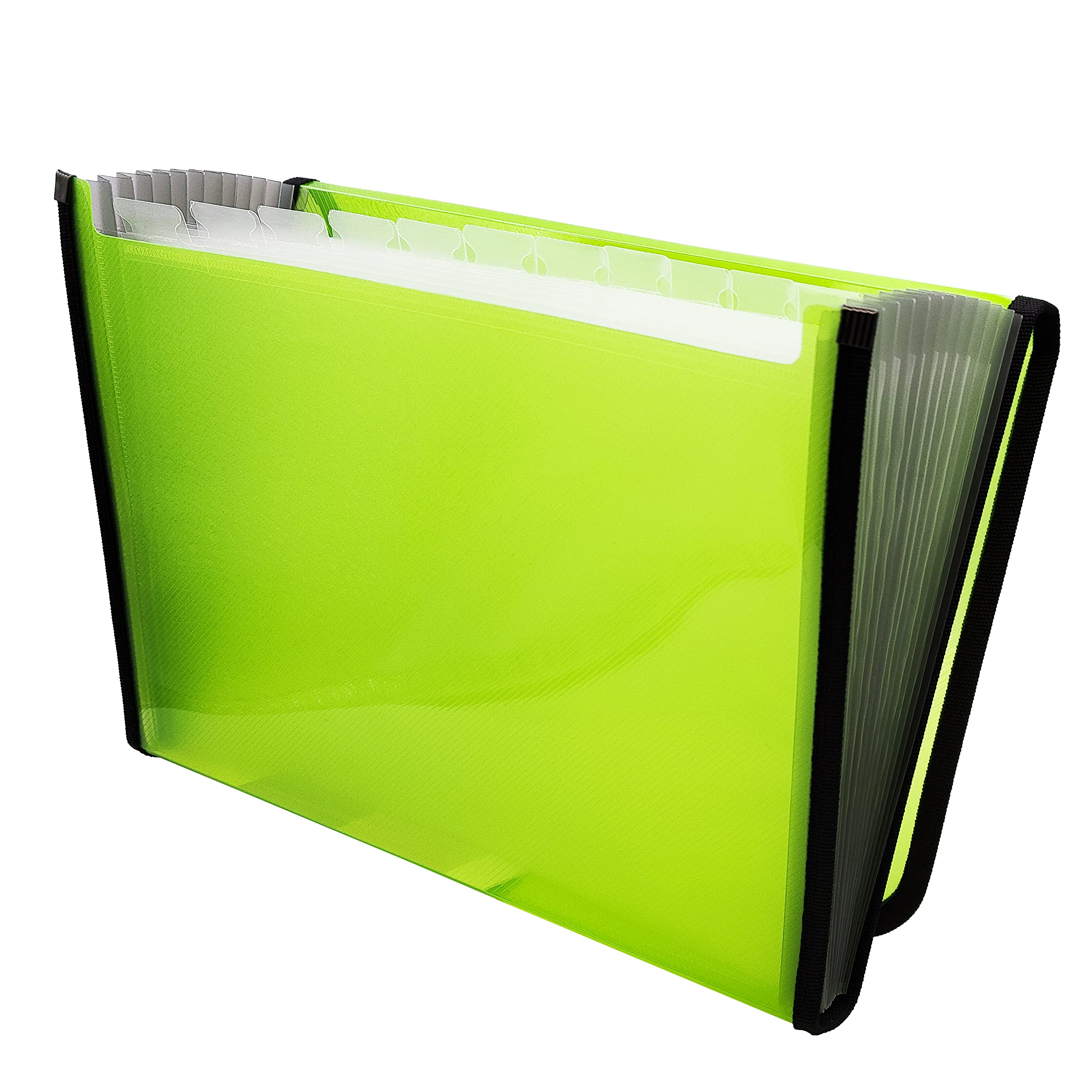 Raylu Paper® - 12 Pockets Accordion Sorting Folder Plastic Folder for Office with Reinforced Dividers and Edges (Light Green)