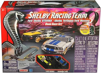 a team slot car set