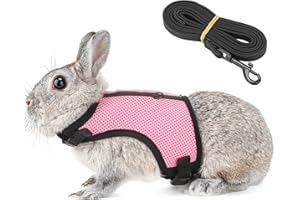 Pettom Bunny Rabbit Guinea Pig Harness Stretchy Elastic Leash Cute Soft Mesh Small Pet Harness No Pull Comfort Outdoor Walking Jogging Padded Vest for Ferret Guinea Pig (L(Chest:10.6-13.3 in))