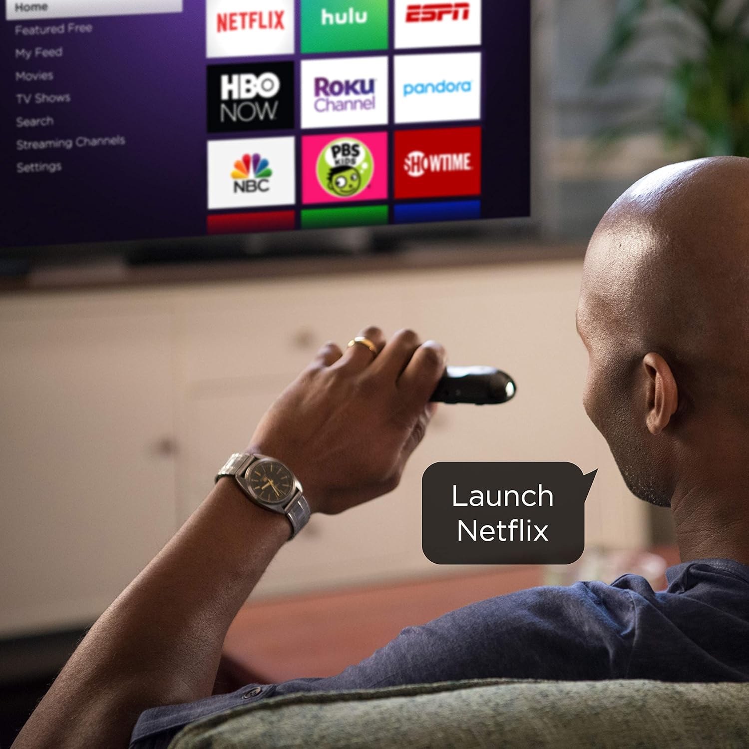 Roku Voice Remote (Official) for Roku Players and Roku TVs: Electronics
