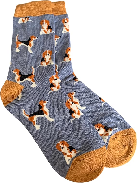 beagle socks h&m