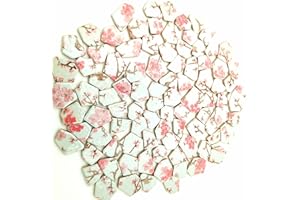 BTMIEY 1.1 LB Porcelain Ceramic Mosaic Tiles,Broken Irregular Mosaic Tiles for DIY Craft Floor,Kitchen,Pool, Flower Pots Mosaic Making Supplies (Porcelain 10)