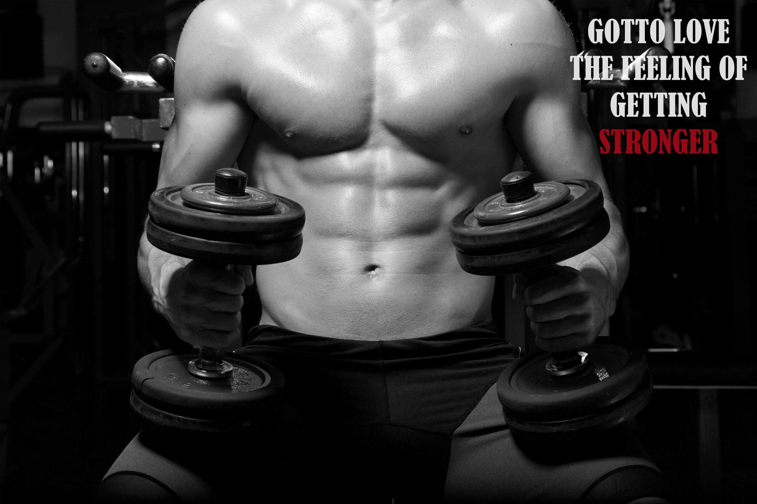 EzPosterPrints - Bodybuilding Men Girl Fitness Workout Quotes Motivational Inspirational Muscle Gym Posters - Wall Art Print For Home Office Gym - 11-36X24 Inches