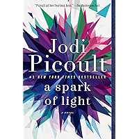 A Spark of Light: A Novel book cover