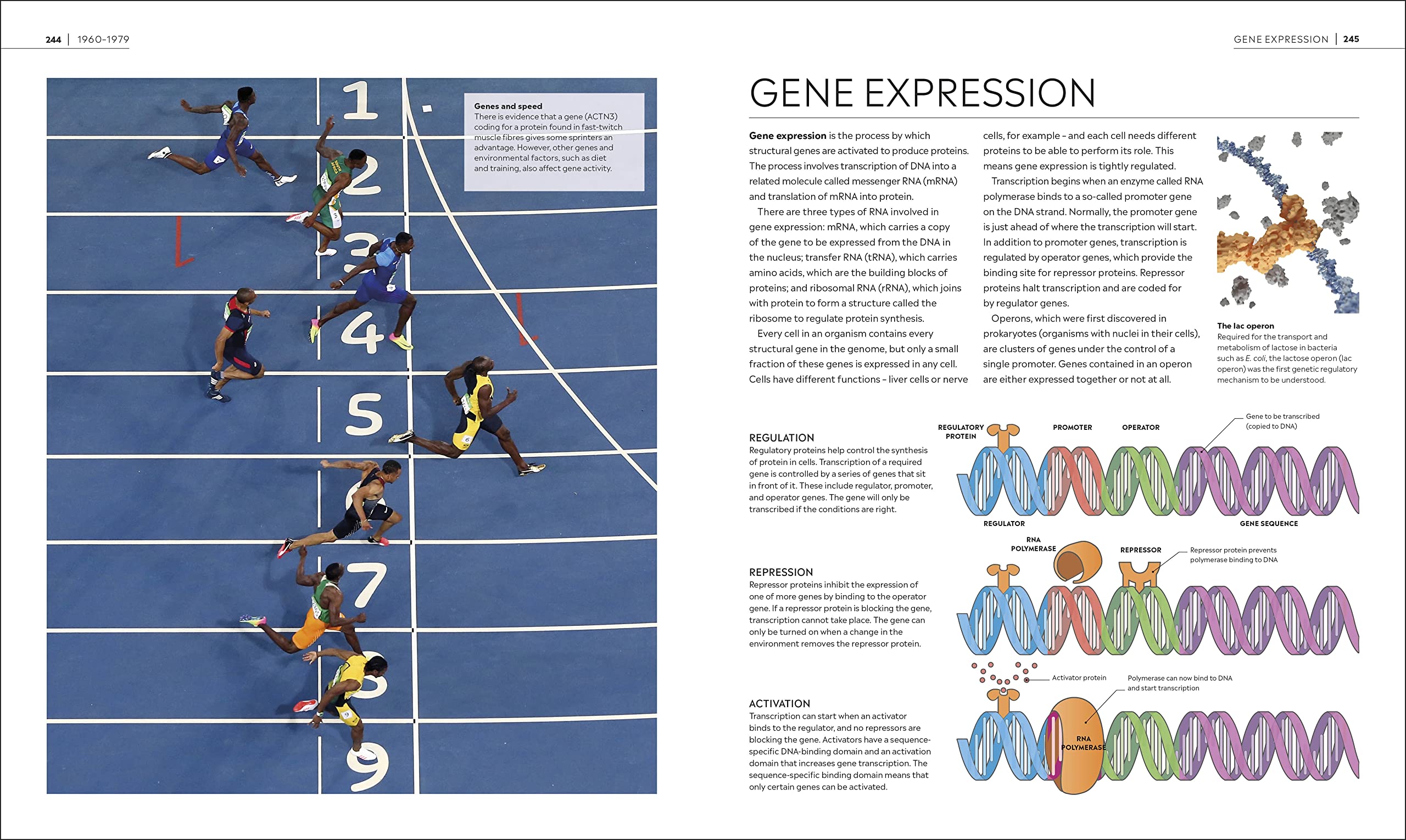 Timelines of Science (DK Timelines)