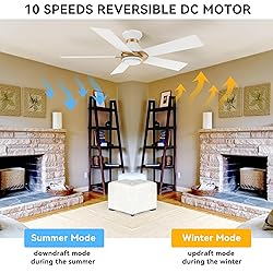 SMAAIR 48 Inch Ceiling Fan with Light and