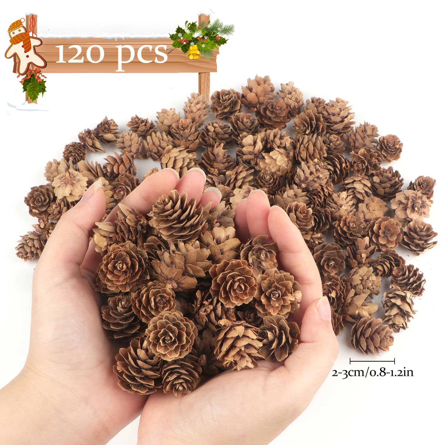 Jangostor 120 PCS Pine Cones Decorations, Natural Pine Cones Bulk - Mini Pine Cones Christmas Pine Cones for Table Christmas Tree Crafts Gifts Thanksgiving Fall and Xmas Home Decor