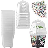 EBaokuup 10 Pack Clear Plant Nursery Pots with Humidity Dome-3" Reusable Plastic Gardening Pot with Printed Labels-Small Seed Starting Pots for Seedlings Vegetables Succulents Cuttings