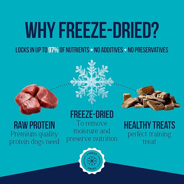 STEWART SINGLE INGREDIENT FREEZE DRIED RAW DOG TREATS, BEEF LIVER, 12 OUNCE RESEALABLE TUB, TRAINING TREATS OR MEAL TOPPER FOR ALL SIZE DOGS, HIGH PROTEIN, GRAIN-FREE, GLUTEN-FREE