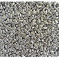 Pearl Metallic Silver Oat/Rice 3mm x 6mm UPOV Acrylic/Faux/Plastic Beads 500 Pieces, Small