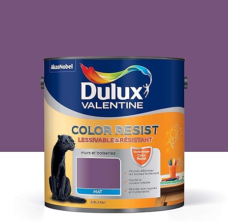 Peinture Color Resist Dulux Valentine Lessivable Et Resistante Pour Murs Boiseries Aspect Mat Amethyste 2 5 L Dulux Valentine Amazon Fr Bricolage