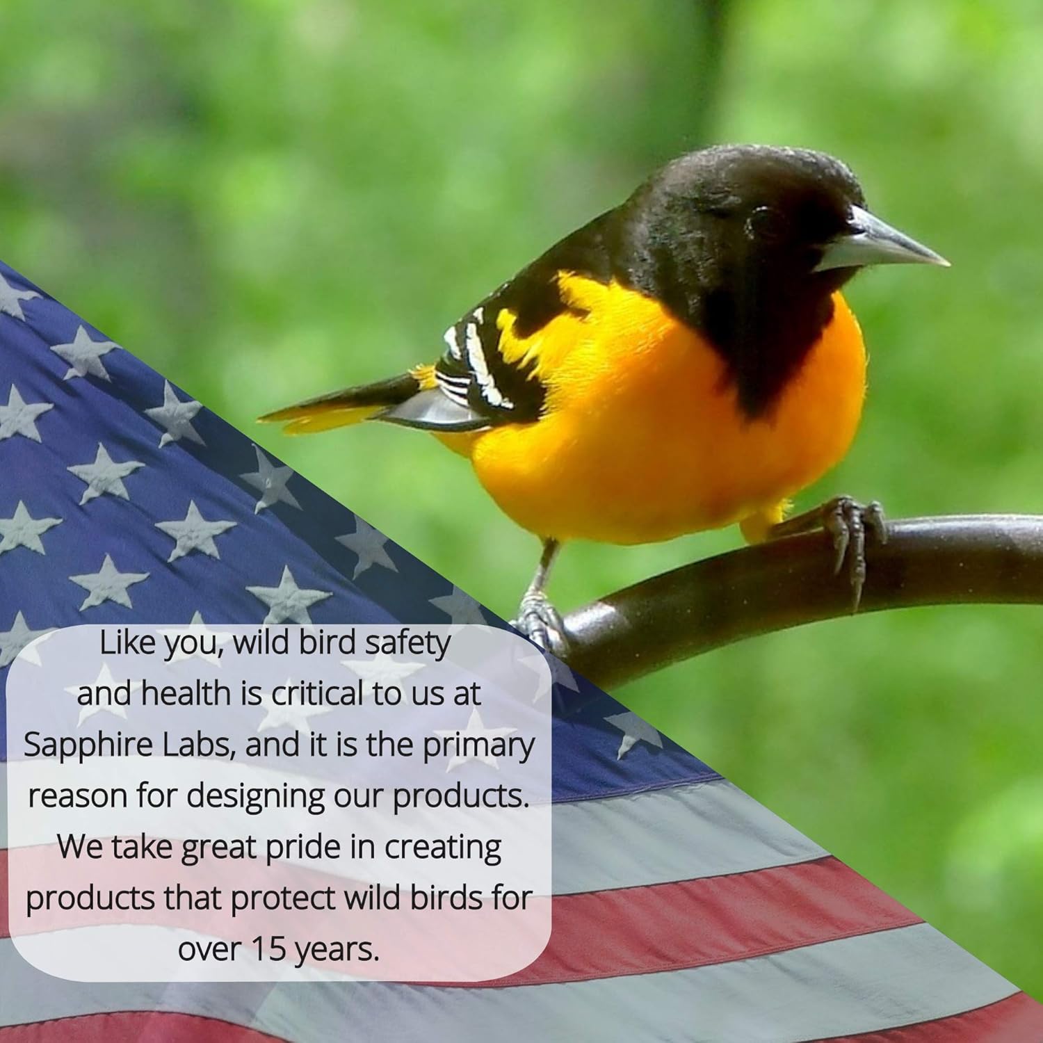 Naturally Fresh Hummingbird Nectar with Nectar Defender Lasts Longer in Hummingbird Feeders | Clear Hummingbird Nectar Concentrate for Outdoor Hummingbird Feeders | Makes 64 ounces : Garden & Outdoor