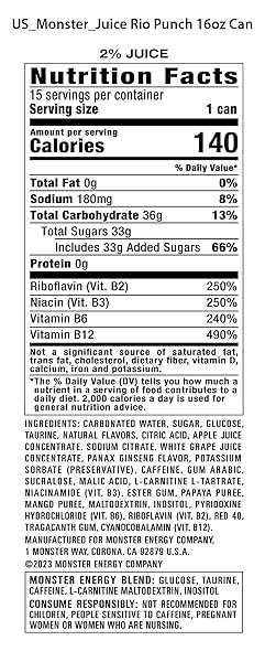 MONSTER ENERGY JUICE RIO PUNCH, ENERGY + JUICE, ENERGY DRINK, 16 OUNCE (PACK OF 15)