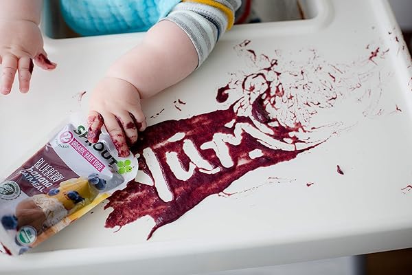 SPROUT ORGANIC BABY FOOD, STAGE 2 POUCHES, FRUIT VEGGIE & GRAIN BLEND, BLUEBERRY BANANA OATMEAL, 3.5 OZ PUREES (PACK OF 6)