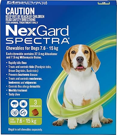 caucasian shepherd dogs 101