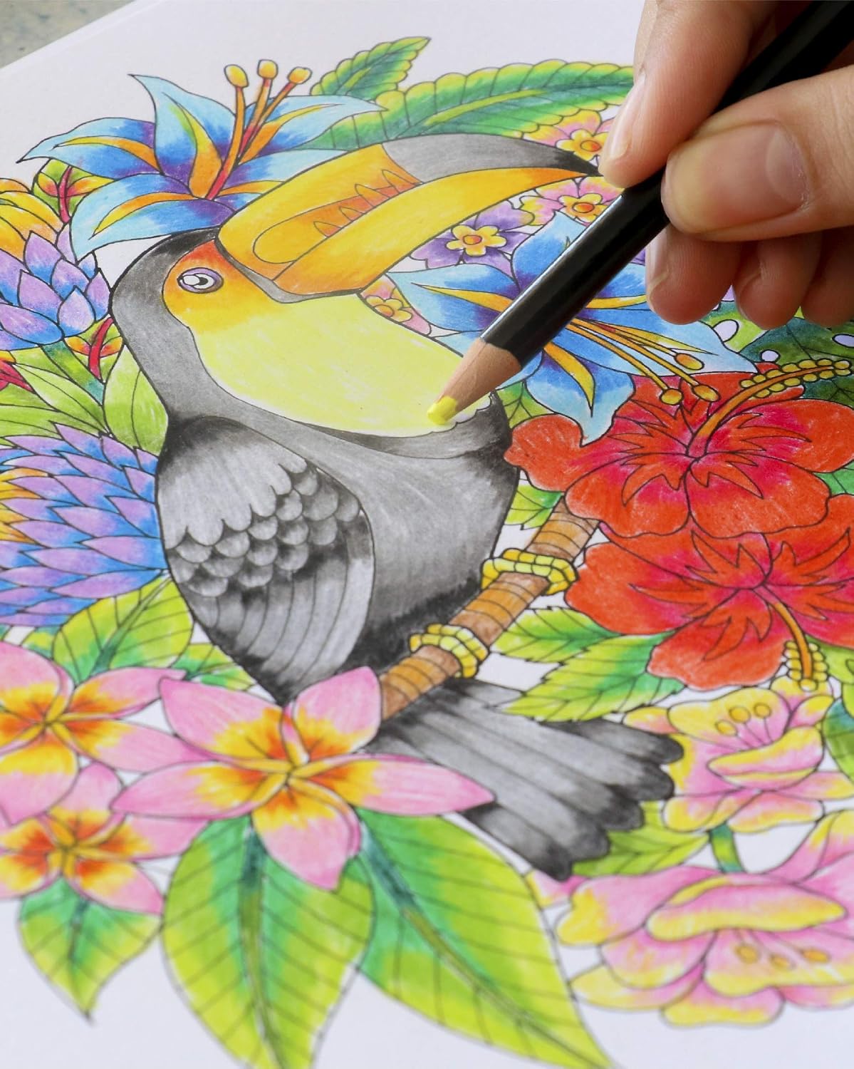 ColorIt Colorful Tropical Scenes Adult Coloring Book, 50 Single-Sided Designs, Thick Smooth Paper, Lay Flat Hardback Covers - Image 5