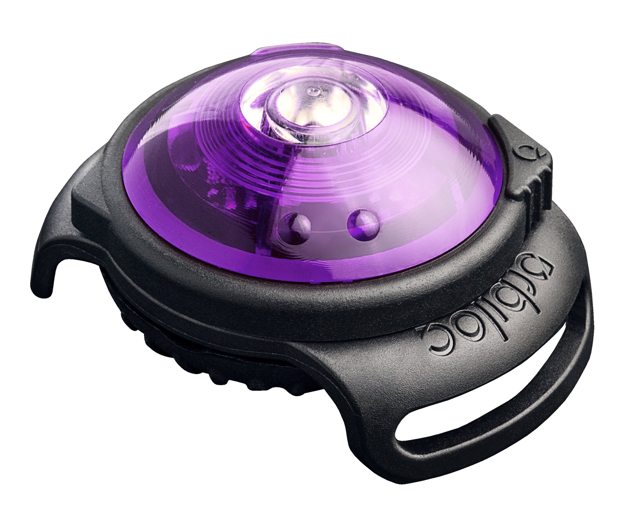 Orbiloc Dog Dual LED Light for Dog Pink/Purple (Purple) — image 1