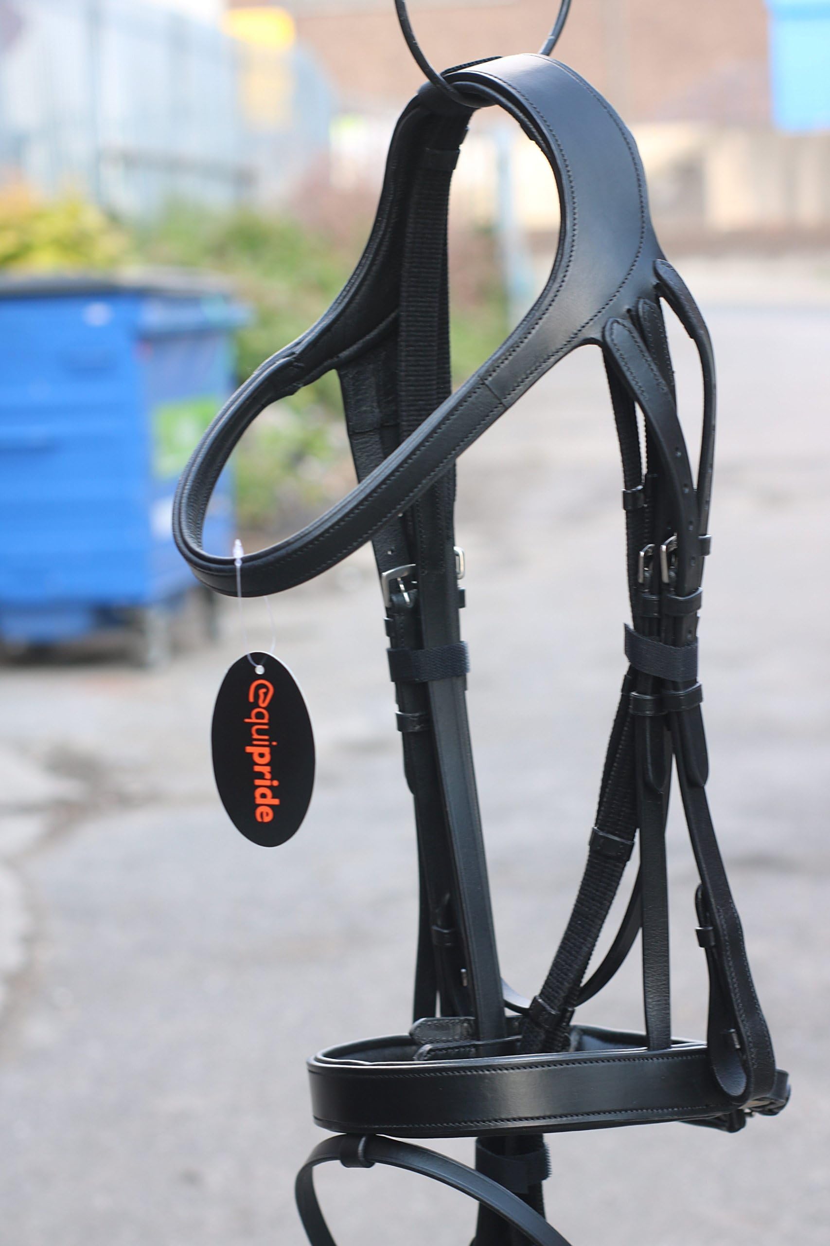 Equipride Padded Comfort Bridle Matca with Flash Noseband Web Reins (Cob, Black)